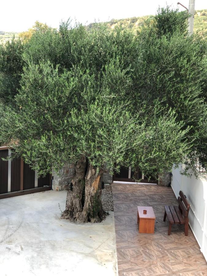 SirílionCreta Galini House别墅 外观 照片